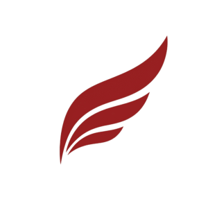 logo vanguardinc white back